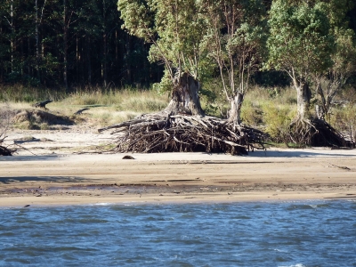 Arenales de Paso del Palmar