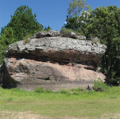 Parque Bartolom&eacute; Hidalgo