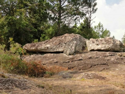 Lagarto de Piedra